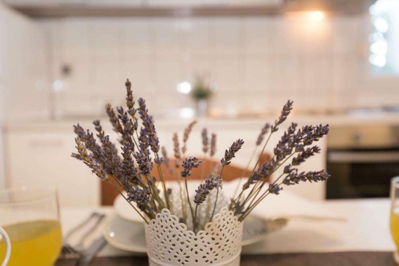 Cozy Apartment Josipa Privlaka  Dış mekan fotoğraf